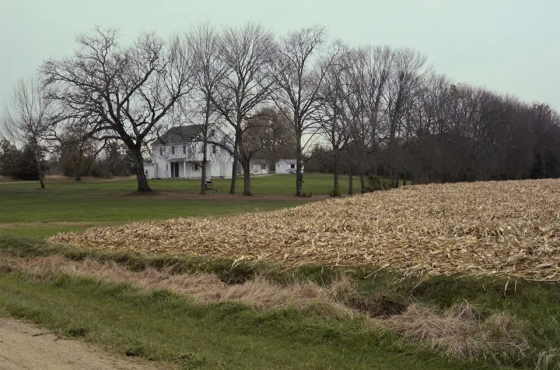 An older white farmhouse set back behind bare trees beside a harvested corn field in rural Iowa
