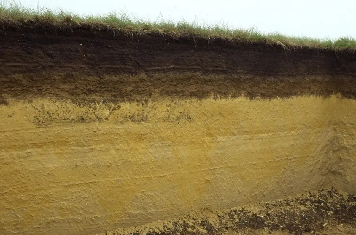 A freshly cut soil face in rural Iowa showing dark prairie topsoil over yellow-brown clay subsoil